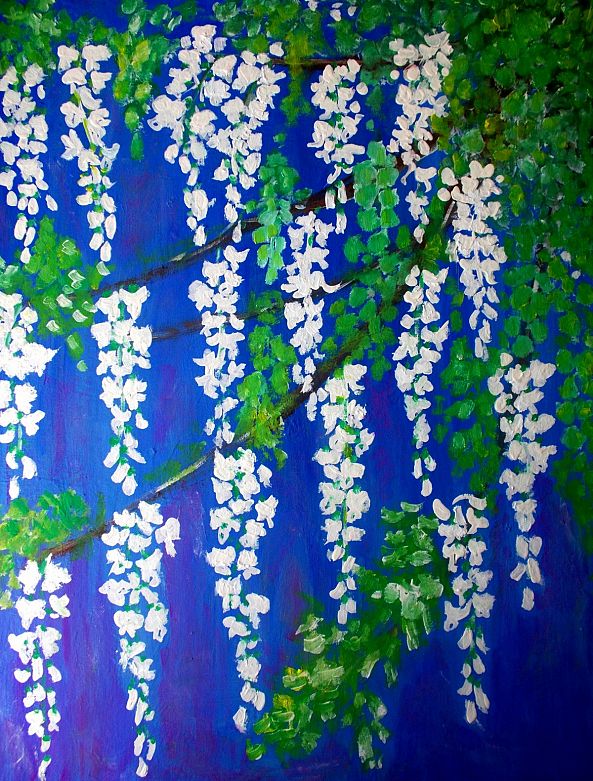acacia flowers-elena buftea