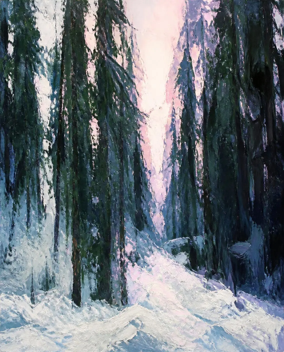 Forêt boréale, janvier