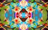 Nazma Botanica
