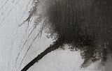 SAAO art