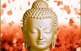Anand Charya