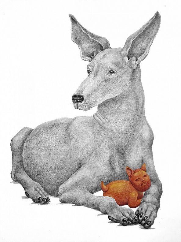 Xolo and tlalchichi No.3-Mónica Álvarez Herrasti