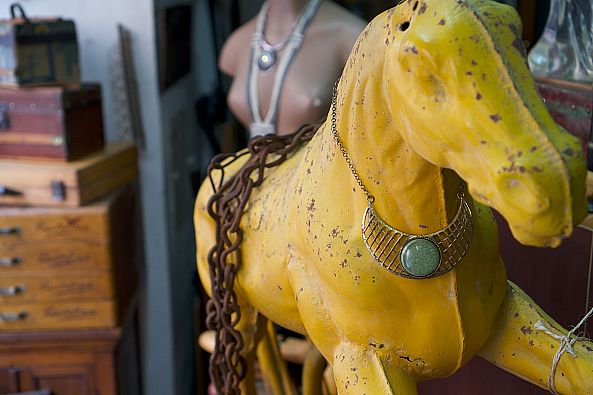 Yellow Horse With a Collar-Cristo Dias