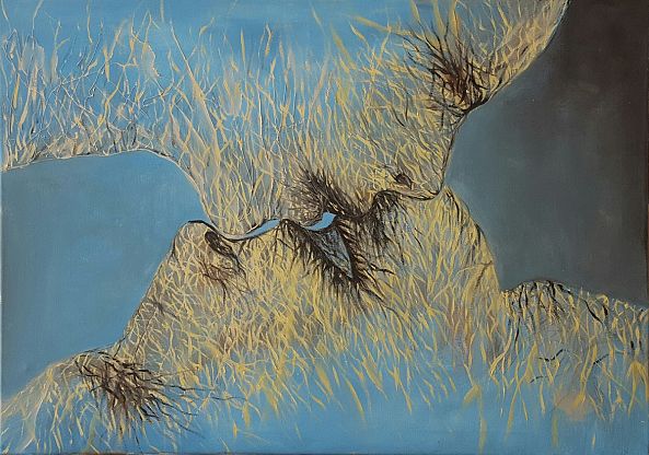 convergence-kamila nabi