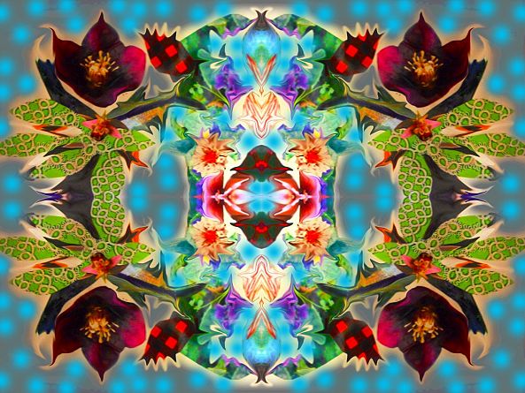 Triffids are coming -Nazma Botanica