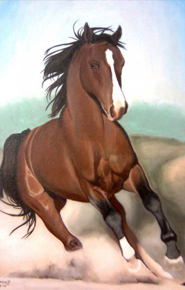 Arabian Horse-Ariel Dominguez