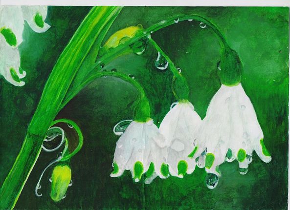 flowers with water drops-KUMUDU NISHANTHI