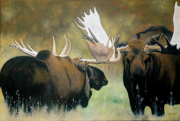 Rut-Jean Yves Crispo