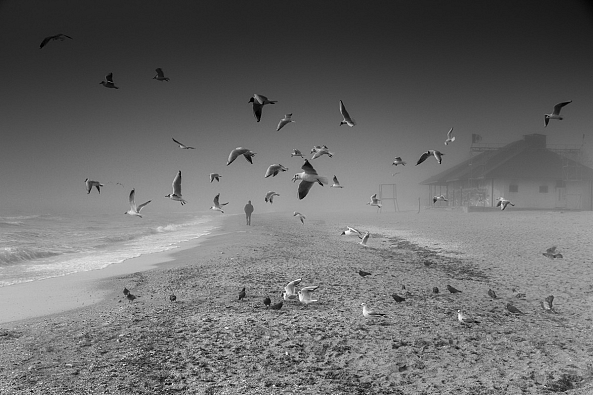 The misty seashore-Valeriy Bekeshko