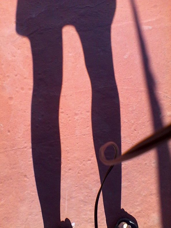 Legs in the sun-Elizabeth Aldam