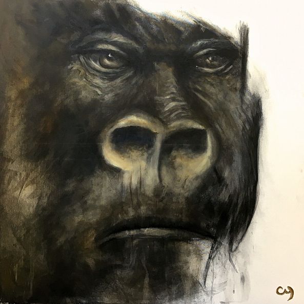 Bonobo-Christyne Proulx 