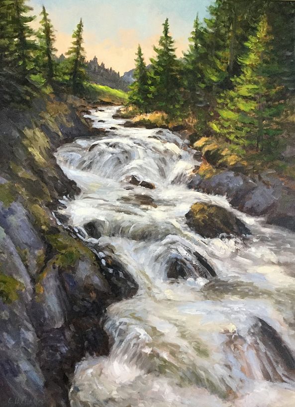 Promenade dans le parc-Bowring Park -Cathy Lachance