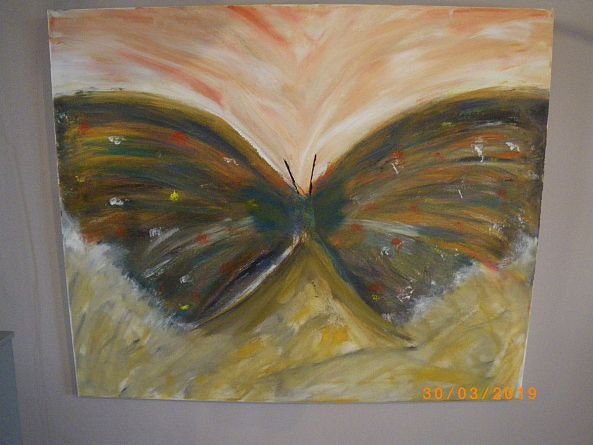 papillon-Richard webb