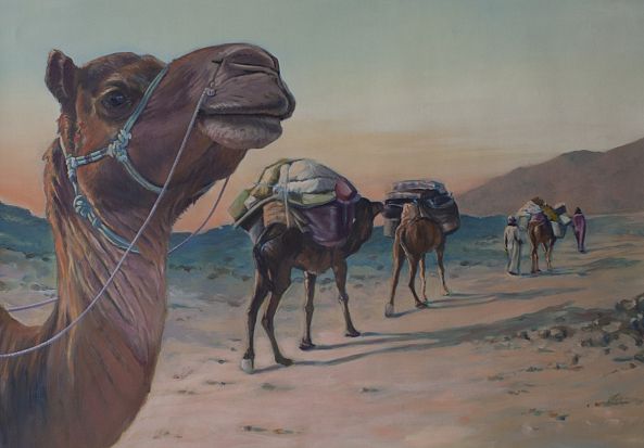 Orient-Hubert Camiglieri