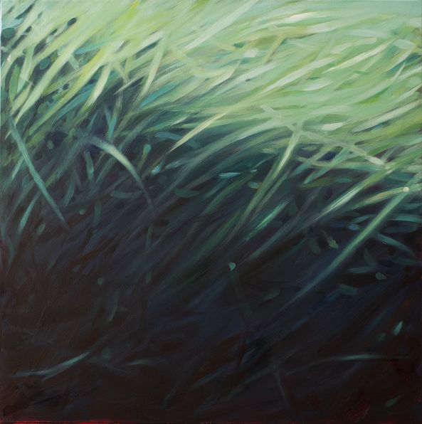 Posidonia-Hubert Camiglieri
