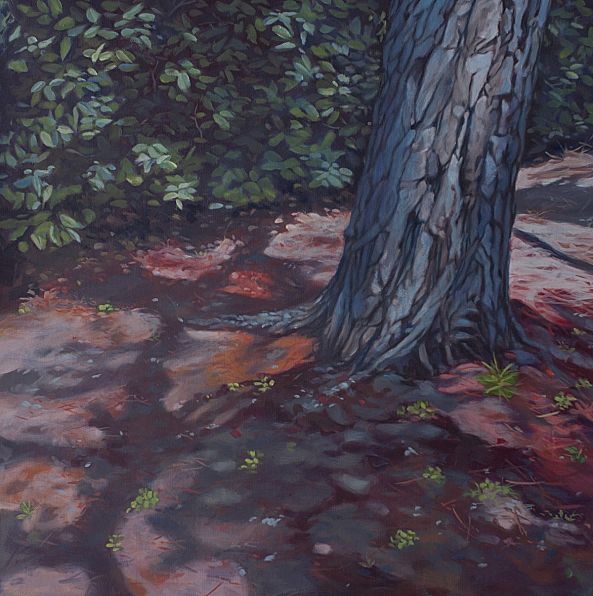 Eleagnus-Hubert Camiglieri