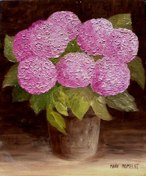 " un petit hortensia rose "-marie momelat