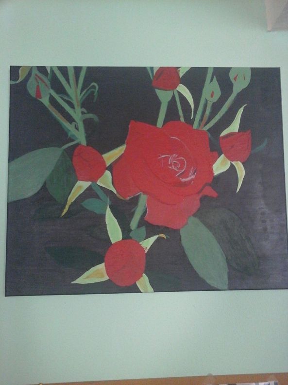 roses  rouges de nuit-christophe caron