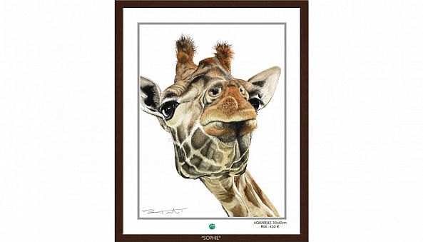 "SOPHIE" La girafe-Pierre Frutschi