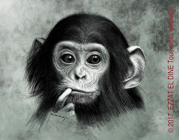 Bébé Chimp-Ezzat El Dine Abdulbaghi