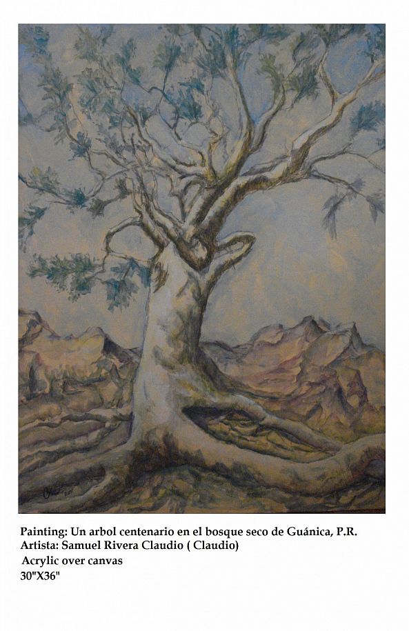 Centenary tree-Samuel Rivera