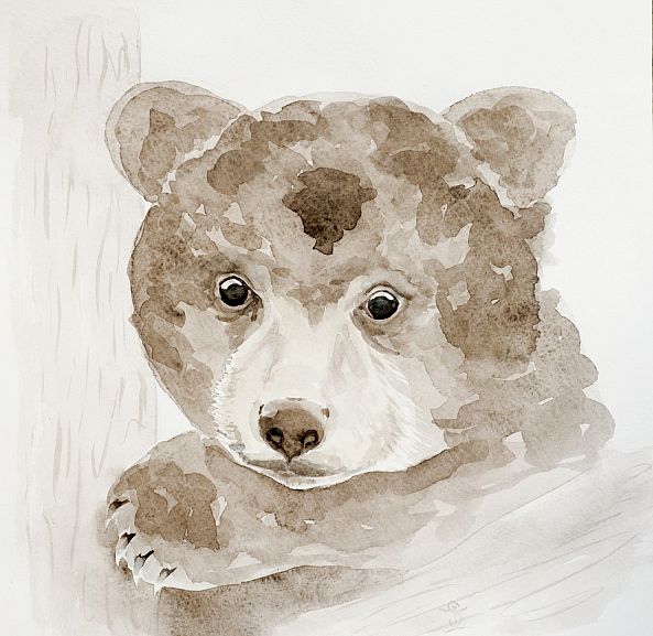 Teddy bear-Ira Samoilina