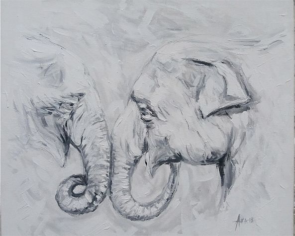 Elephants-asanka indrajith