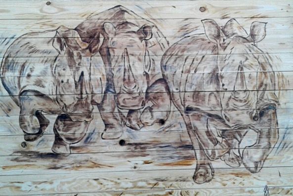 Rhino stampede wood stain-Louise Johnston