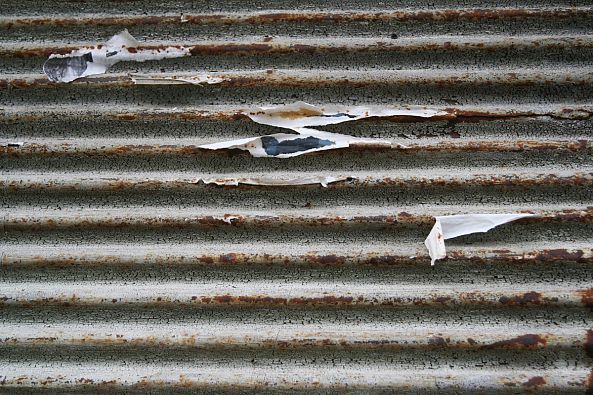 Traces-Miranda Legovi?