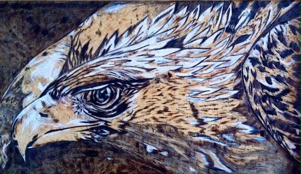 Freedom Flyer-Linda Crawford