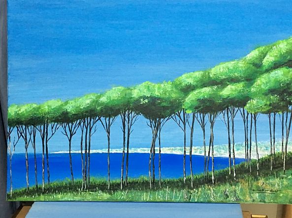 Pine trees-Ali Mourabet