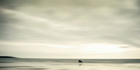 free-Josh Adamski