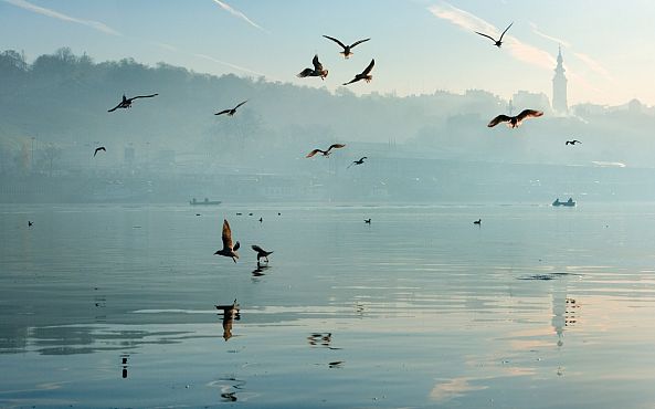 Belgrade Daybreak - Photography on Canvas - Limited Edition #6/9-Art Zamur