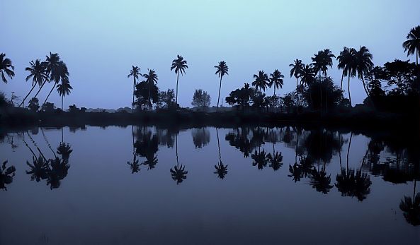 Reflection-Sourav Malik