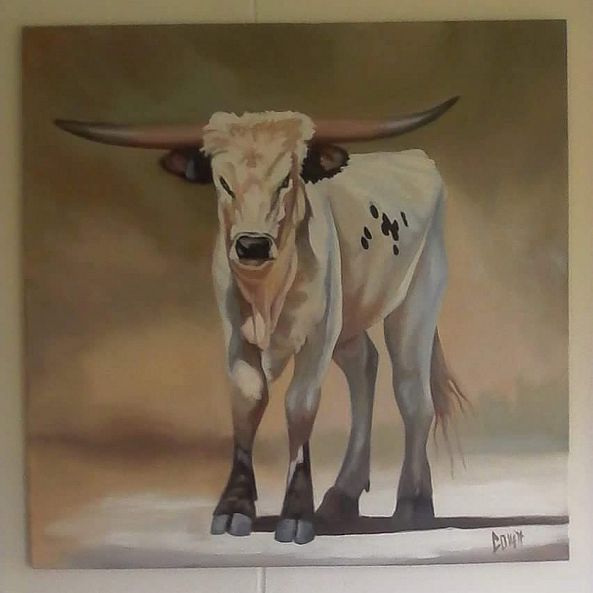 Longhorn-Collett Louw