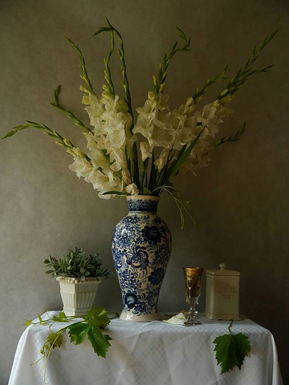 Still life with white Gladiolas-Claudia Stanetti