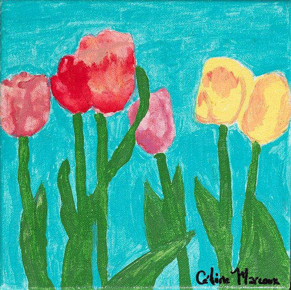 Les tulipes -Céline Marcoux