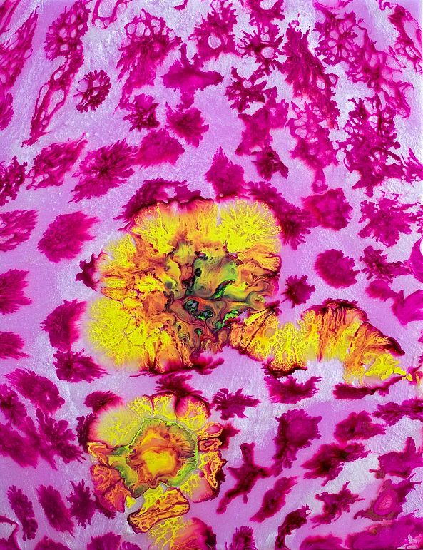 IMPROBABLE FLOWERS #1-BEDDRU ART