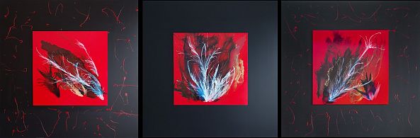 Red On Black Triptych-Danguole Serstinskaja