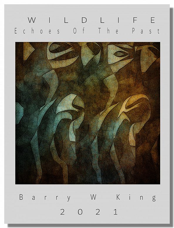 Wild Life Echoes Of The Past-barry king