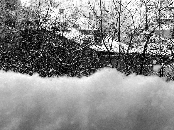Snowed-Zazulete Anuca Romanta Ion