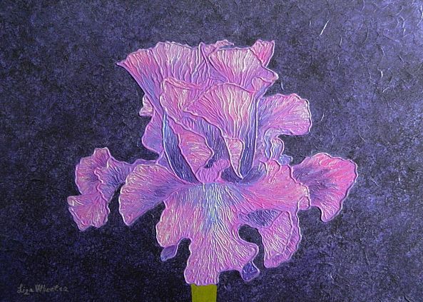 Classic Wine - abstract iris flower -Liza Wheeler