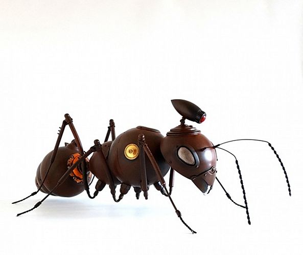 An ant mother-Arturas Tamasauskas