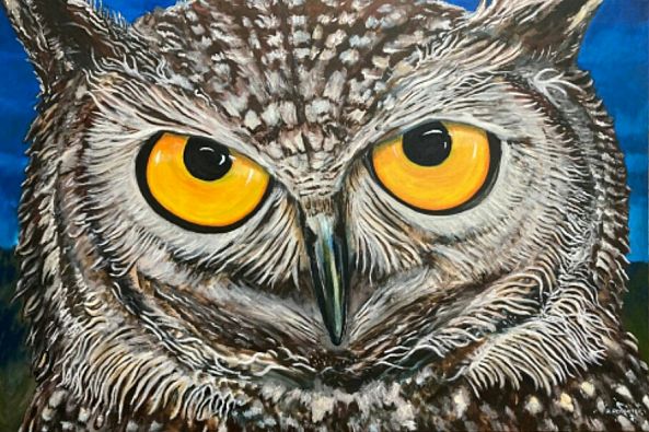 Owl-Herman  Potgieter