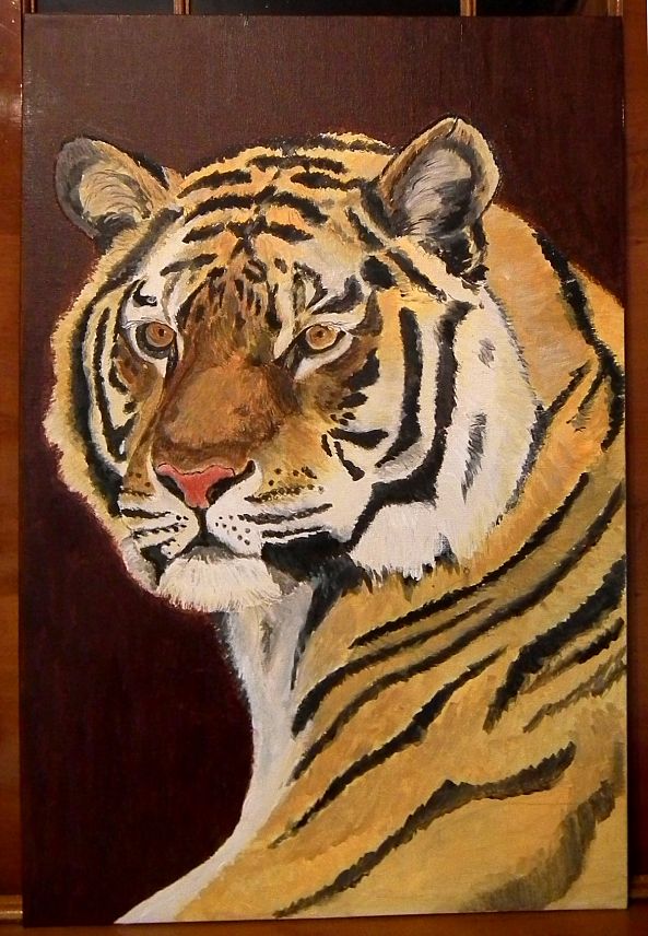 Tiger, lord of the taiga-Ilya Krughoff