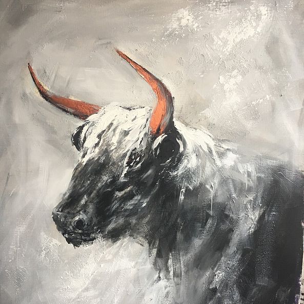Bull. II-Elena Shnit