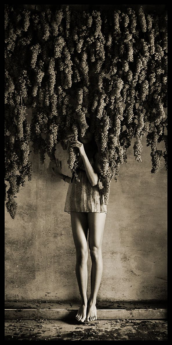 Legs under Grapes. -Vlad  Loktev