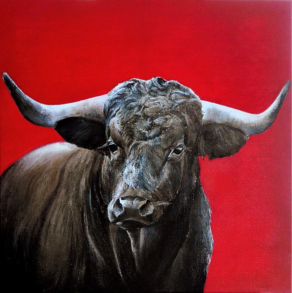 brave bull-Tomas Castaño