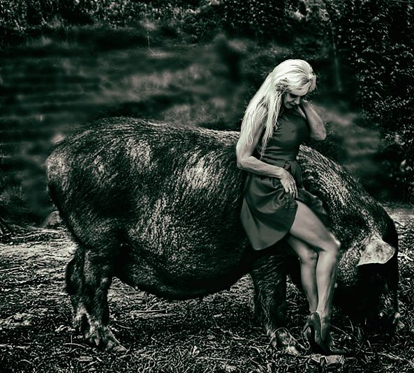 lady and pig-Cornel Gingarasu