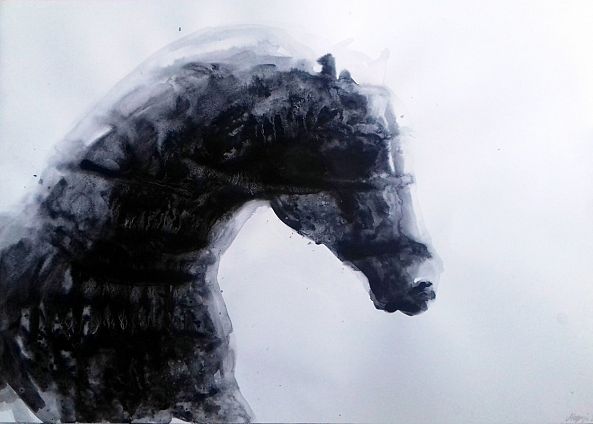 Big Black Horse portrait-marija colic